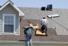 Ryeskylights-2.jpg; ?>